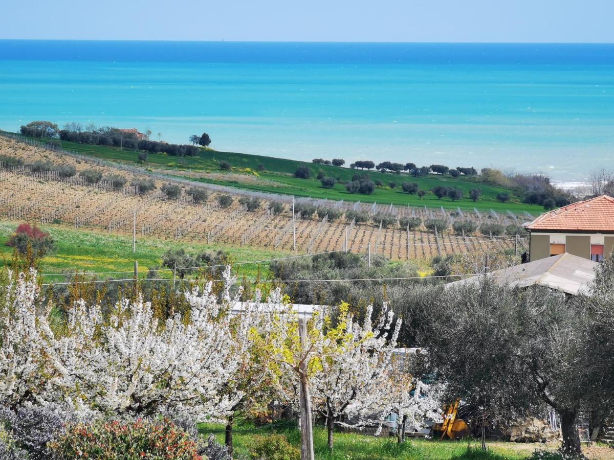 Borsacchio Lodge Roseto Degli Abruzzi