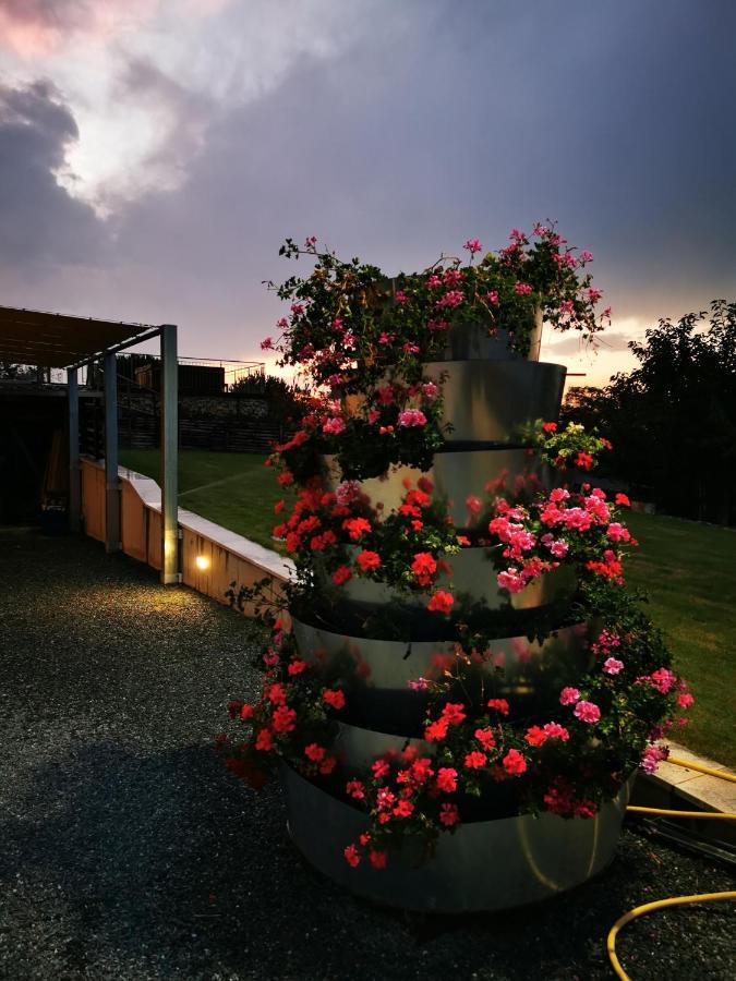 Lodge Borsacchio *