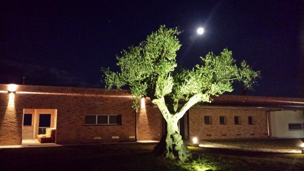 Borsacchio Lodge