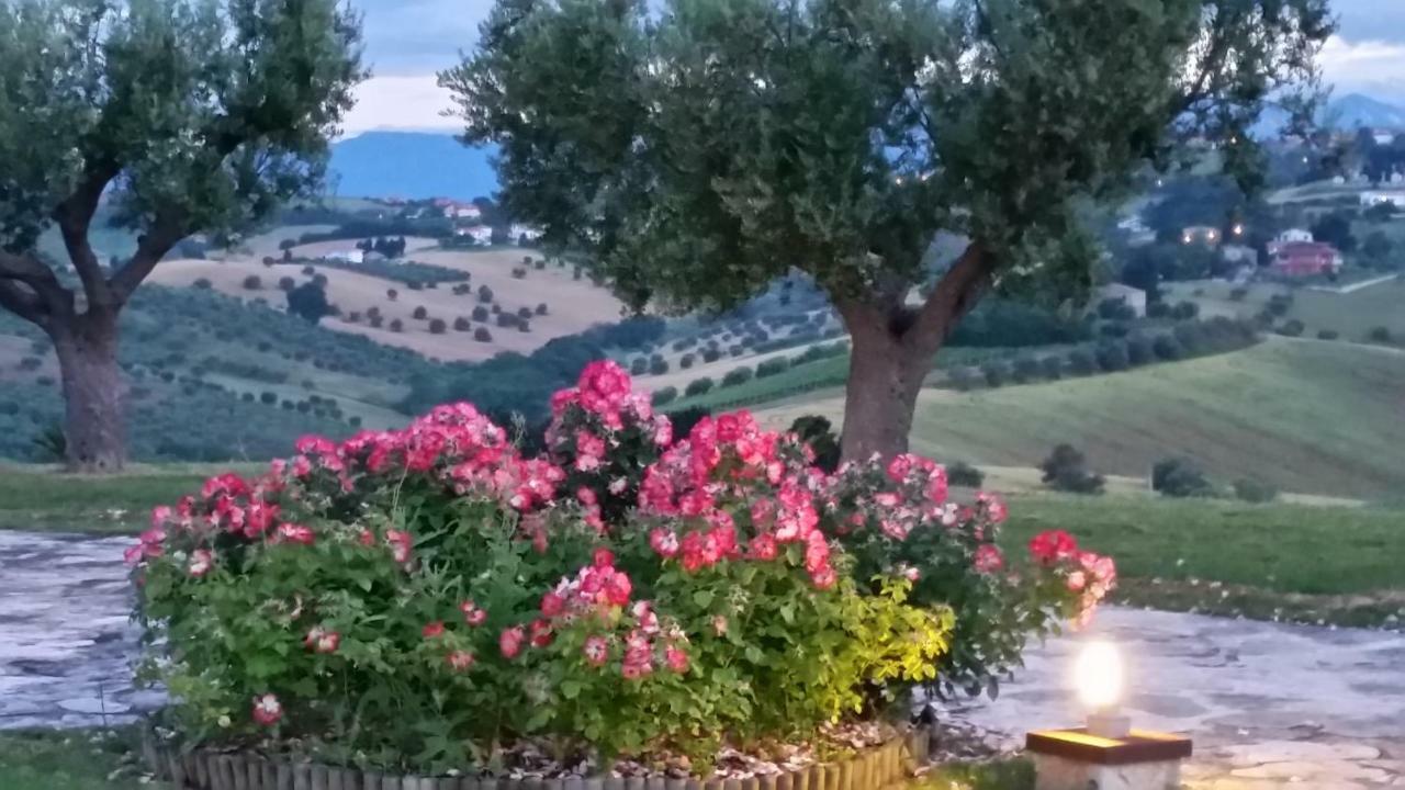 Lodge Borsacchio Roseto Degli Abruzzi