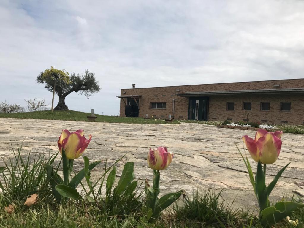 Borsacchio Lodge *